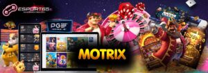 MOTRIX